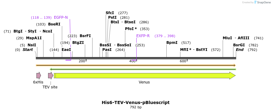 323702_map