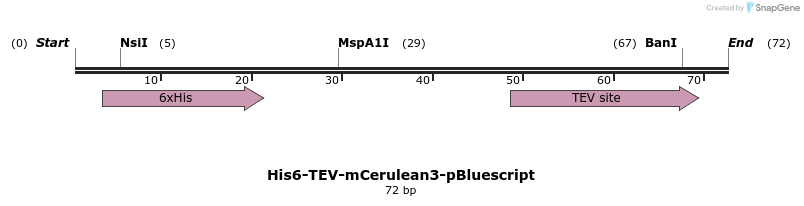 323704_map