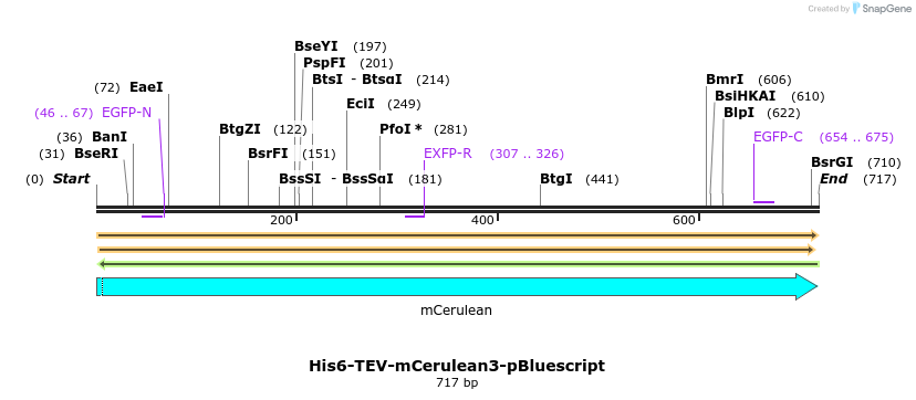 323705_map