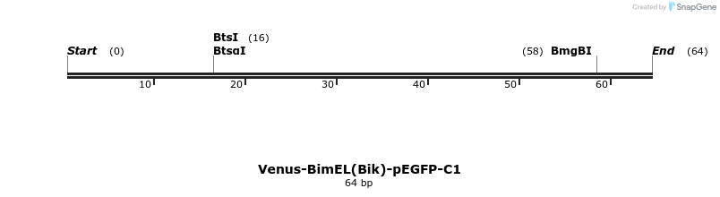 323708_map