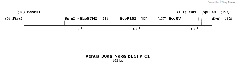 323710_map
