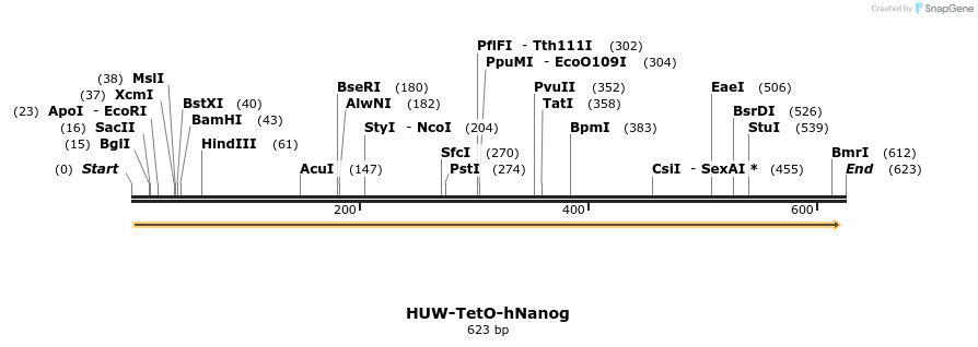 32372_map