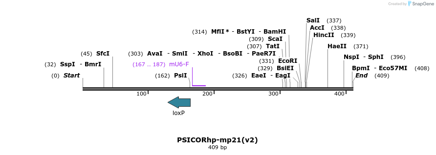 32375_map