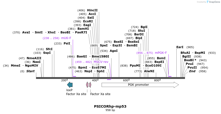 32377_map