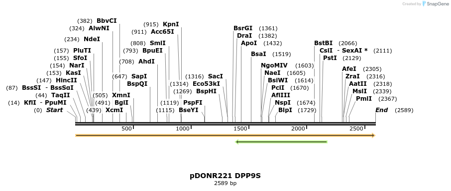 323787_map