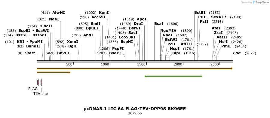 323795_map