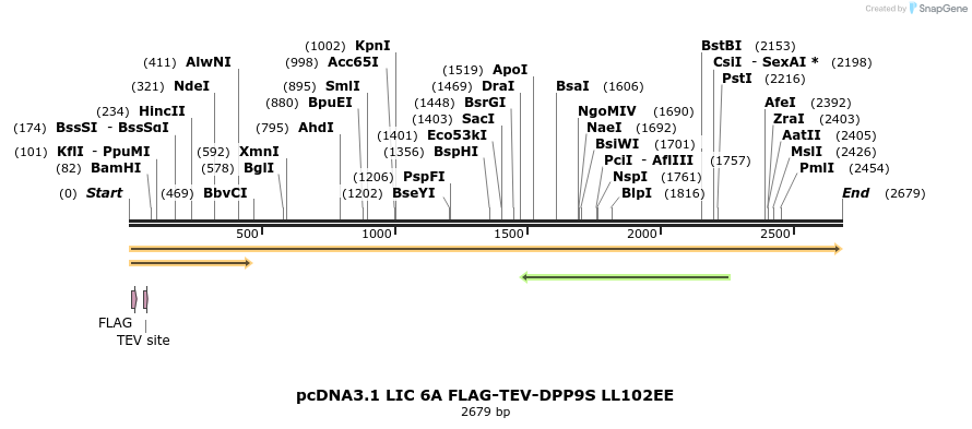323797_map