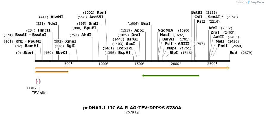 323799_map