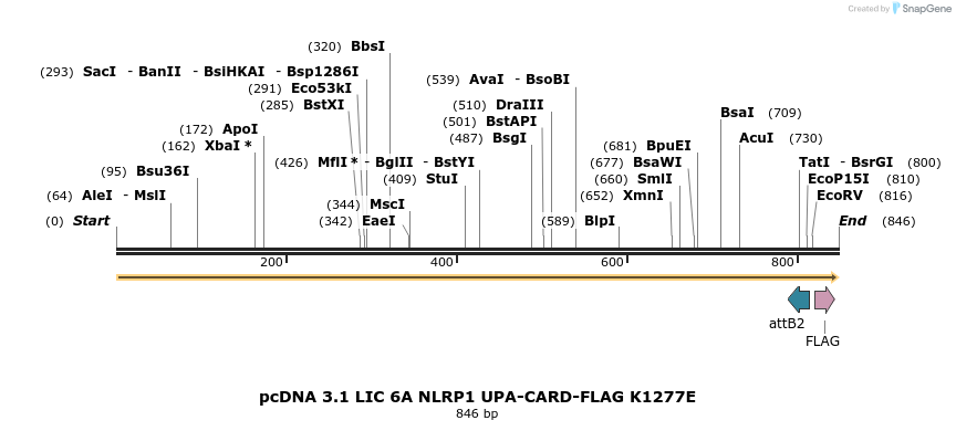323811_map