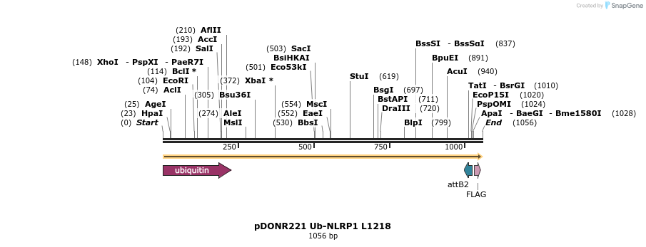 323827_map