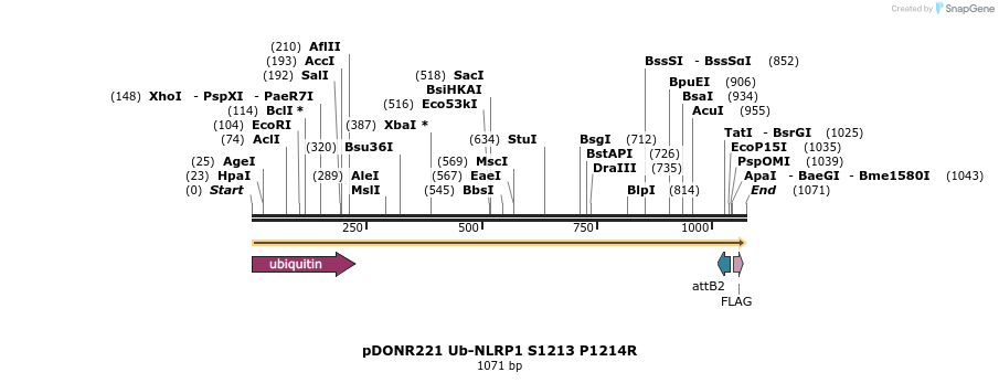 323828_map