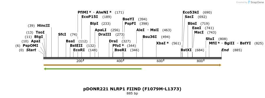 323829_map