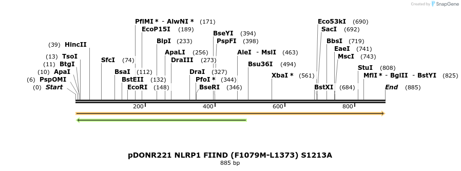 323830_map