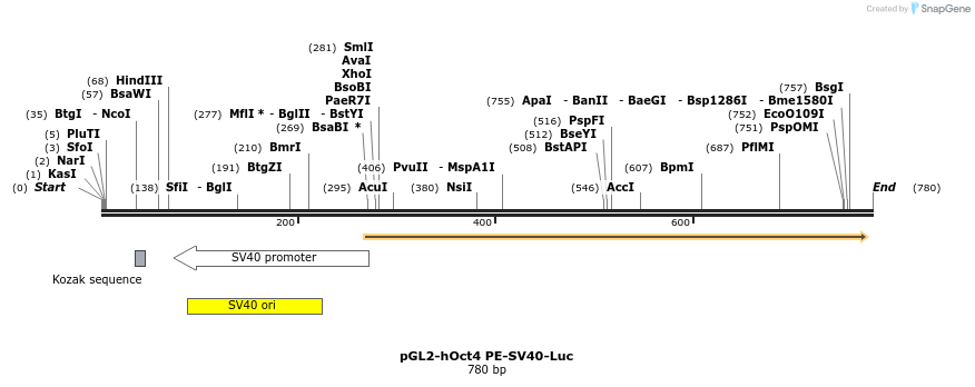 32384_map