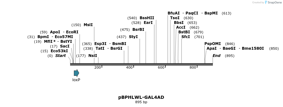 32392_map