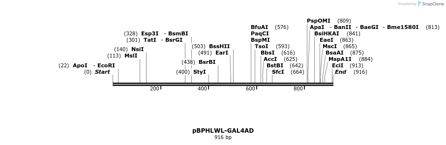 32393_map