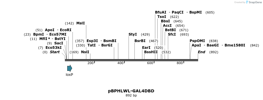 32395_map