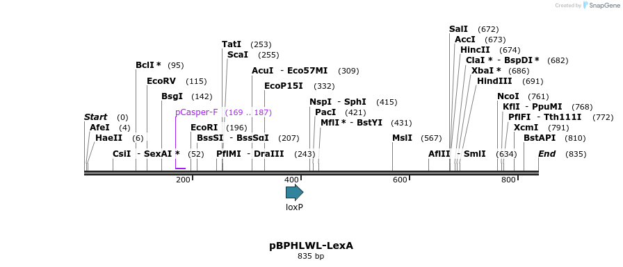 32401_map