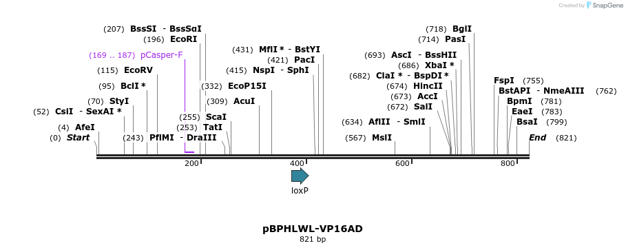 32404_map