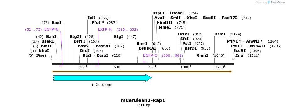 324086_map