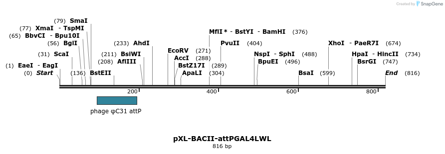 32409_map
