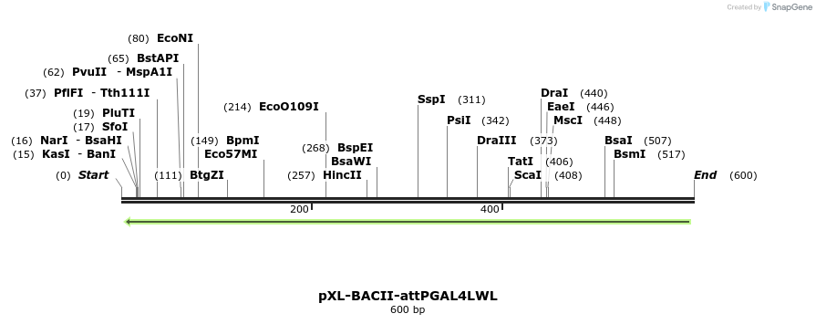32410_map