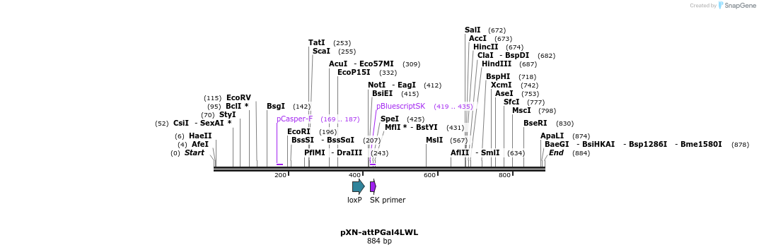 32411_map