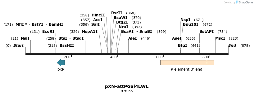 32412_map
