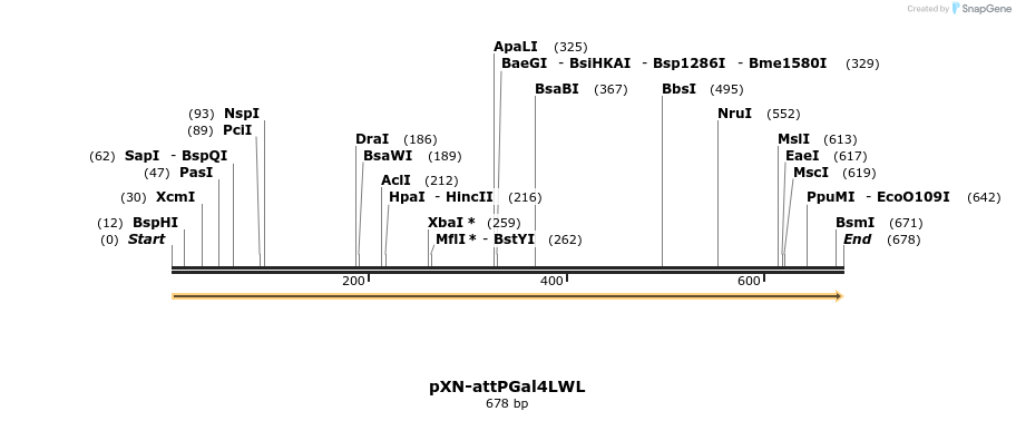 32413_map