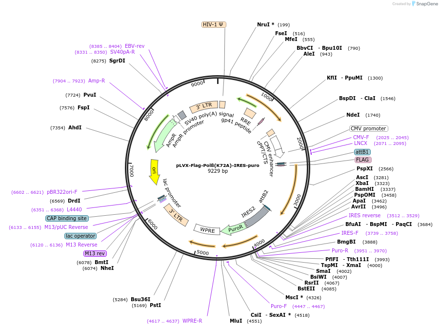 324145_map