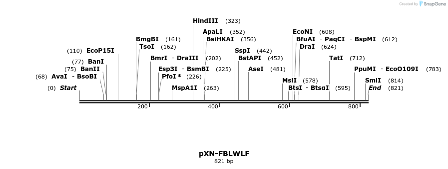 32415_map