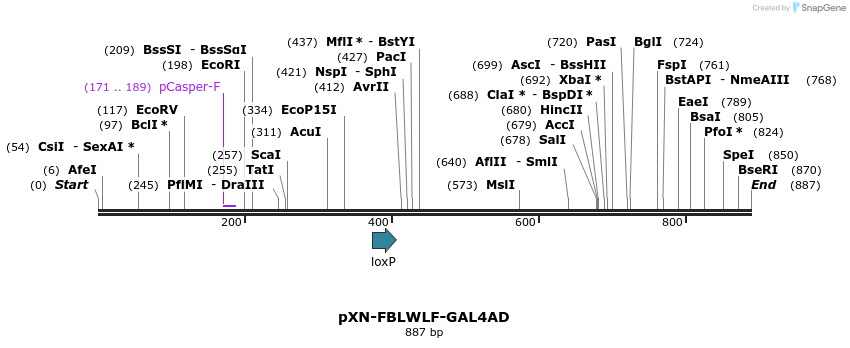 32417_map
