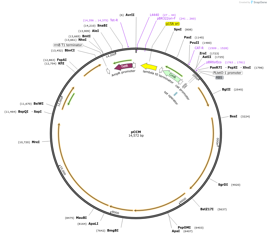 324195_map