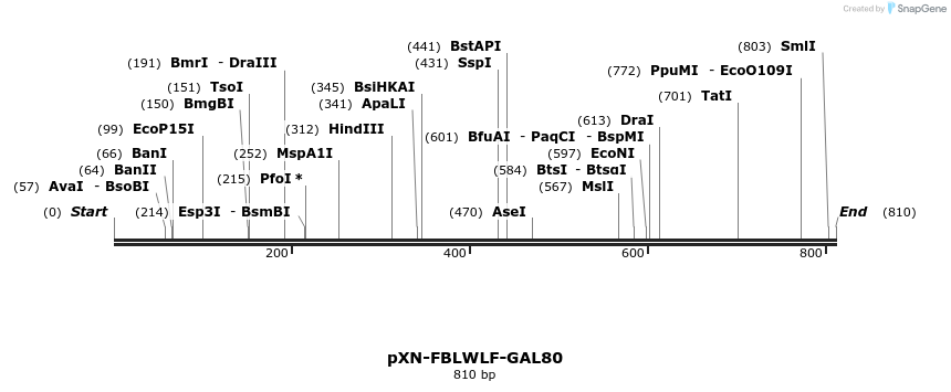 32423_map
