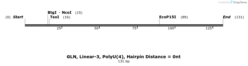 324242_map