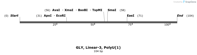 324244_map