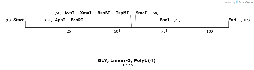 324246_map