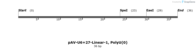 324252_map