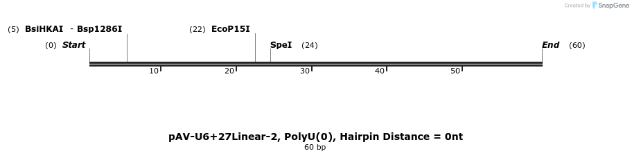 324258_map
