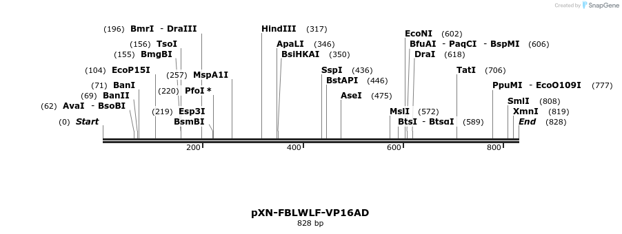 32433_map