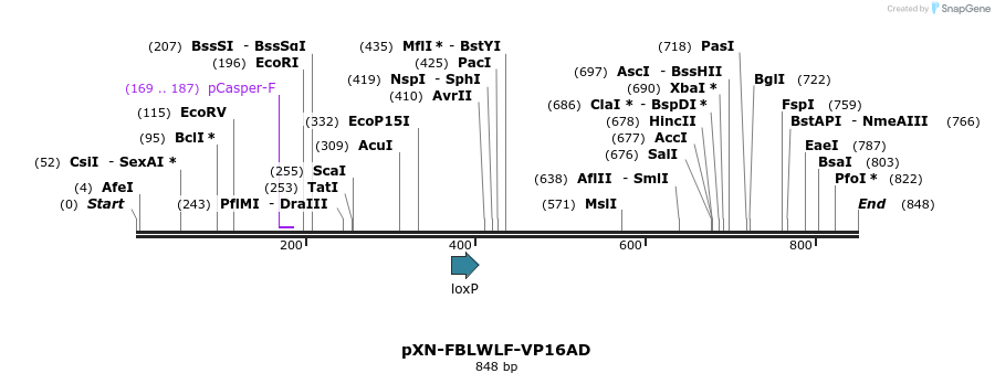 32434_map