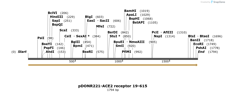 324359_map