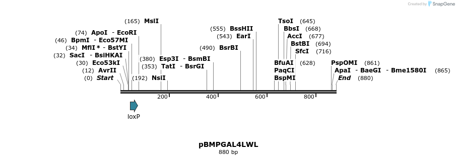 32439_map