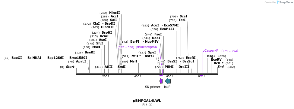 32440_map