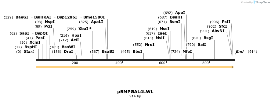32442_map