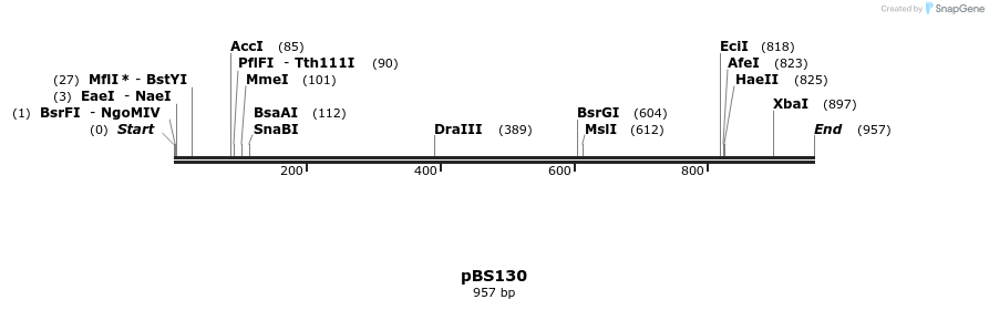 32444_map