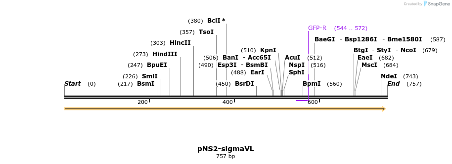 32451_map