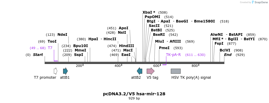 32459_map