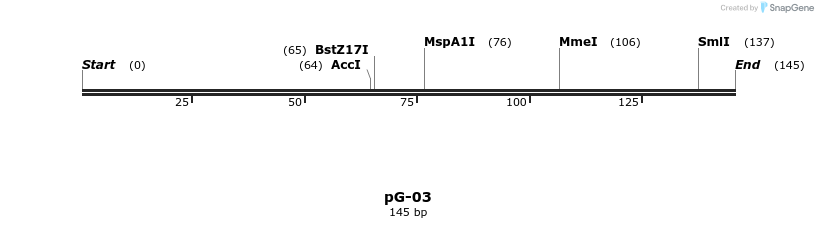 324740_map