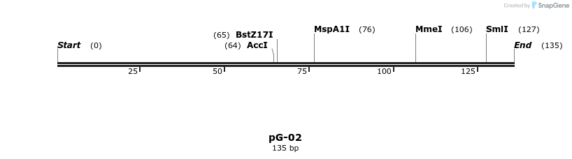 324741_map
